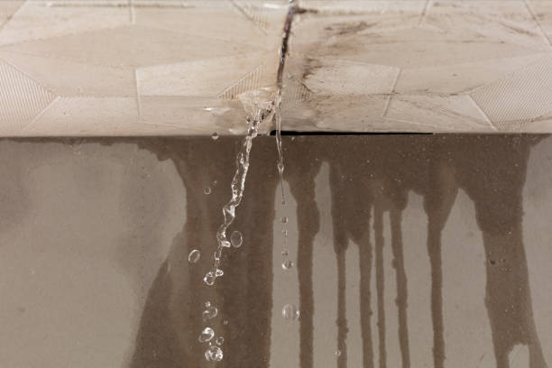 Professional Structural Drying technician working in Amboy, MN